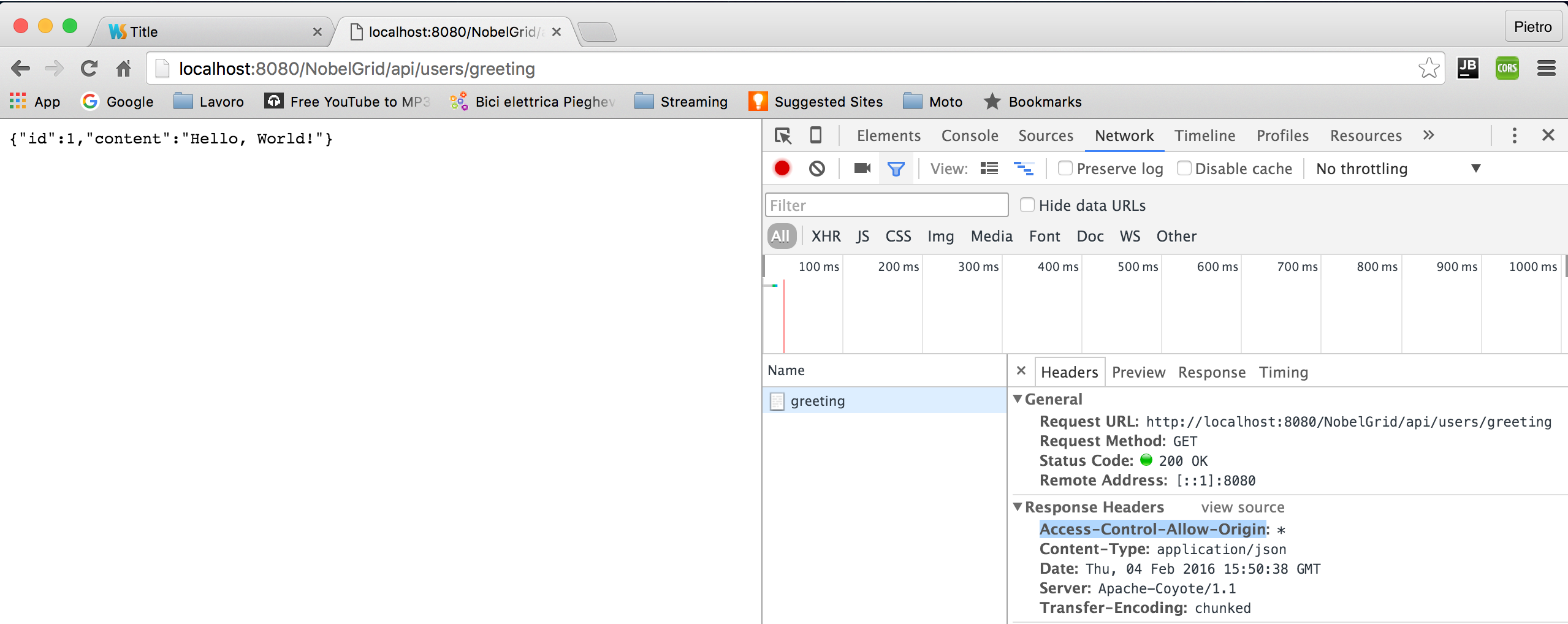 Access allow origin js. Localhost 8080. access-control-allow-origin.