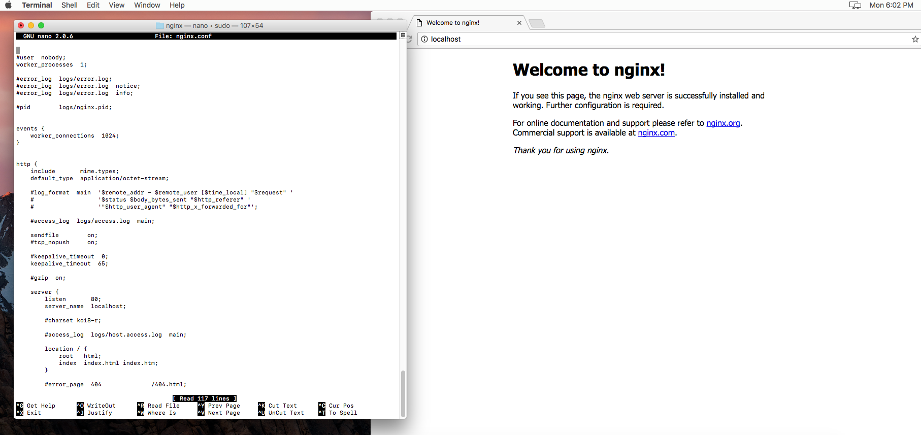 Nginx index html