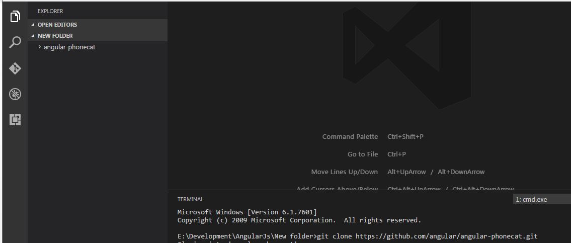 Reinitialized existing git. Запушить на командный репозиторий git. vs code.